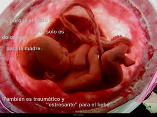 Sí, porque el parto  no solo es doloroso  para la madre.   También es traumático y  “estresante” para el bebé. 