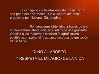 Las imágenes utilizadas en esta presentación son parte del documental “En el vientre materno” producido por National Geographic.   Son imágenes obtenidas a través de una micro-cámara introducida en el útero de una gestante. Gracias a las modernas técnicas fotográficas es posíble acompañar el fascinante proceso de gestación de un bebé . DI NO AL ABORTO Y RESPETA EL MILAGRO DE LA VIDA 