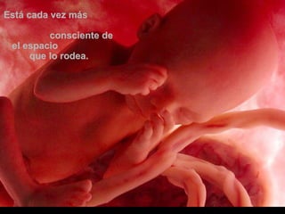 Está cada vez másEstá cada vez más
consciente deconsciente de
el espacioel espacio
que lo rodea.que lo rodea.
 