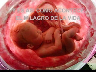 Y ES ASI COMO ACONTECEY ES ASI COMO ACONTECE
EL MILAGRO DE LA VIDAEL MILAGRO DE LA VIDA
 