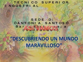 INSTITUCIÓN  EDUCATIVA TECNICO SUPERIOR INDUSTRIAL  SEDE D:  “ANTONIA SANTOS” Barrancabermeja (Santander) 