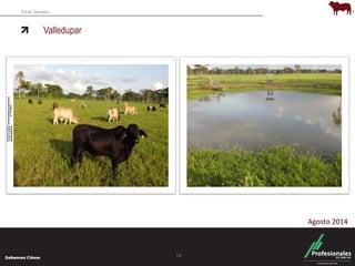 Fondo Ganadero 
Valledupar 
14 
Agosto 2014 
 