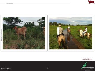 Fondo Ganadero 
23 
Junio 2014 
 