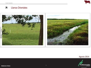 Fondo Ganadero 
Llanos Orientales 
8 
Agosto 2014 
 
