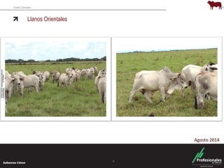 Fondo Ganadero 
Llanos Orientales 
9 
Agosto 2014 
 