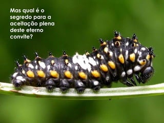 Mas qual é o
segredo para a
aceitação plena
deste eterno
convite?
 