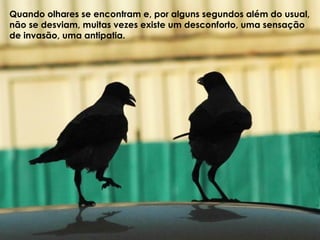 Quando olhares se encontram e, por alguns segundos além do usual,
não se desviam, muitas vezes existe um desconforto, uma sensação
de invasão, uma antipatia.
 