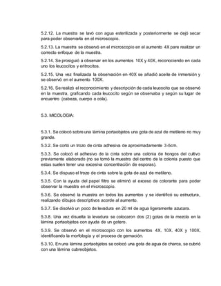 5.2.12. La muestra se lavó con agua esterilizada y posteriormente se dejó secar
para poder observarla en el microscopio.
5.2.13. La muestra se observó en el microscopio en el aumento 4X pare realizar un
correcto enfoque de la muestra.
5.2.14. Se prosiguió a observar en los aumentos 10X y 40X, reconociendo en cada
uno los leucocitos y eritrocitos.
5.2.15. Una vez finalizada la observación en 40X se añadió aceite de inmersión y
se observó en el aumento 100X.
5.2.16. Se realizó el reconocimiento y descripción de cada leucocito que se observó
en la muestra, graficando cada leucocito según se observaba y según su lugar de
encuentro (cabeza, cuerpo o cola).
5.3. MICOLOGIA:
5.3.1. Se colocó sobre una lámina portaobjetos una gota de azul de metileno no muy
grande.
5.3.2. Se cortó un trozo de cinta adhesiva de aproximadamente 3-5cm.
5.3.3. Se colocó el adhesivo de la cinta sobre una colonia de hongos del cultivo
previamente elaborado (no se tomó la muestra del centro de la colonia puesto que
estas suelen tener una excesiva concentración de esporas).
5.3.4. Se dispuso el trozo de cinta sobre la gota de azul de metileno.
5.3.5. Con la ayuda del papel filtro se eliminó el exceso de colorante para poder
observar la muestra en el microscopio.
5.3.6. Se observó la muestra en todos los aumentos y se identificó su estructura,
realizando dibujos descriptivos acorde al aumento.
5.3.7. Se disolvió un poco de levadura en 20 ml de agua ligeramente azucara.
5.3.8. Una vez disuelta la levadura se colocaron dos (2) gotas de la mezcla en la
lámina portaobjetos con ayuda de un gotero.
5.3.9. Se observó en el microscopio con los aumentos 4X, 10X, 40X y 100X,
identificando la morfología y el proceso de gemación.
5.3.10. En una lámina portaobjetos se colocó una gota de agua de charca, se cubrió
con una lámina cubreobjetos.
 