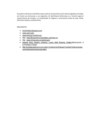 Se pudieronobservare identificarcadaunade lascaracterísticasentre célulasvegetalesyanimales,
así mismo sus estructuras y sus organelos. Se identificaron diferencias y su función según el
requerimiento de energía y su complejidad. Se llegaron a conclusiones claras de cada célula,
diferentes tejidos y características.
BIBLIOGRAFIA
 bio3meliza.blogspot.com
 www.uprm.edu
 www.educa2.madrid.org
 http: www.Bioquímica.manizales.unal.edu.co
 http: www.Umng.edu.co/web/guest
 Alberts, Bray, Hopkin, Johnson, Lewis, Raff, Roberts, Walter,Introducción a
la Biología Celular
 http://portalacademico.cch.unam.mx/alumno/biologia1/unidad1/estructurase
ucariotas/estructurasorganelos
 