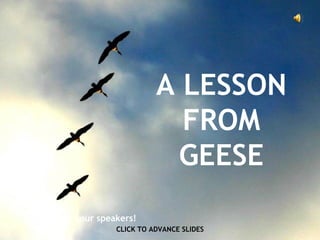 A LESSON FROM GEESE CLICK TO ADVANCE SLIDES ♫  Turn on your speakers! 