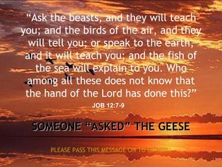 Ask The Geese | PPT