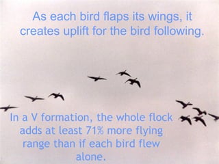 As each bird flaps its wings, it creates uplift for the bird following. In a V formation, the whole flock adds at least 71% more flying range than if each bird flew alone. 