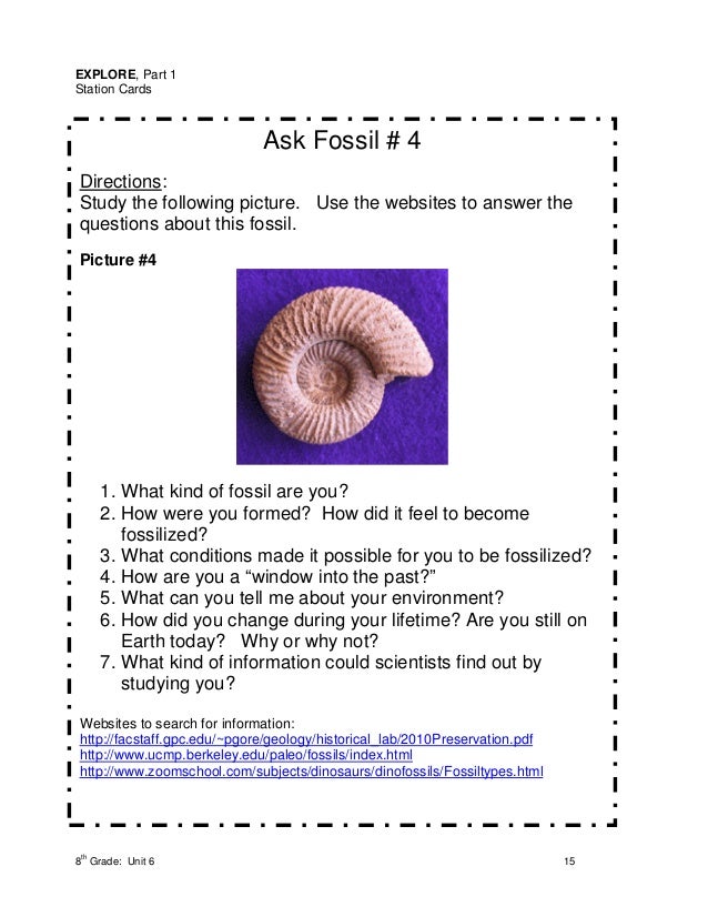 Ask a fossil