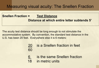 Snellen Fraction = Test Distance
Distance at which entire letter subtends 5’
The acuity test distance should be long enough to not stimulate the
accommodative system. By convention, the standard test distance in the
U.S. has been 20 feet. Everywhere else it is 6 meters:
20 is a Snellen fraction in feet
60
6 is the same Snellen fraction
18 in metric units
Measuring visual acuity: The Snellen Fraction
 