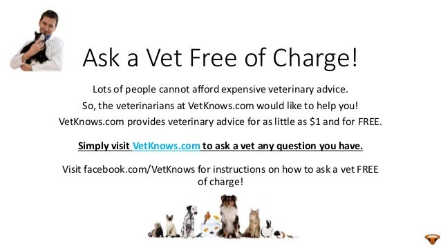 instinct raw dog food ingredients