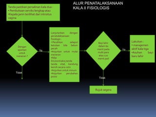 Tanda pastikan persalinan kala dua :
• Pembukaan serviks lengkap atau
•Kepala janin terilihat dari introitus
vagina
Dengan
spontan
untuk
meneran ?
Lanjutankan dengan
penatalaksanaan
fisiologis :
• Pecahkan selaput
ketuban bila belum
pecah
•Anjurkan untuk mulai
meneran
•Nilai
DJJ,kontraksi,tanda -
tanda vital, kandung
kemih secara rutin
•Anjurkan untuk minum
•Anjurkan perubahan
posisi
Bayi lahir
dalam 60
menit pada
multi para
atau 120
menit pad
Lakukan :
• manajemen
aktif kala tiga
•Asuhan bayi
baru lahir
Rujuk segera
Tidak
Ya
Ya
Tidak
ALUR PENATALAKSANAAN
KALA II FISIOLOGIS
 