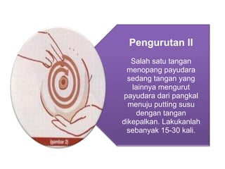 Pengurutan II
Salah satu tangan
menopang payudara
sedang tangan yang
lainnya mengurut
payudara dari pangkal
menuju putting susu
dengan tangan
dikepalkan. Lakukanlah
sebanyak 15-30 kali.

 