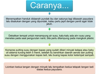 Caranya...
Menempatkan handuk didaerah pundak ibu dan satunya lagi dibawah payudara
lalu disatukan dengan yang dipundak, kalau perlu jepit dengan peniti agar tidak
jatuh.

Dekatkan tempat untuk menampung air susu, kalu-kalu ada airv susu yang
menetes pada saat pengurutan nanti, bila perlu ditampung pada mangkok plastic

Kompres putting susu dengan kapas yang sudah diberi minyak kelapa atau baby
oil selama kurang lebih 5 menit, setelah itu bersihkan daerah aerola dan putting
susu dengan menggunakan kapas tadi, lalu buang kapas kotor ketempat sampah.

Licinkan kedua tangan dengan minyak lalu tempatkan kedua telapak tangan tadi
diatas kedua payudara.

 