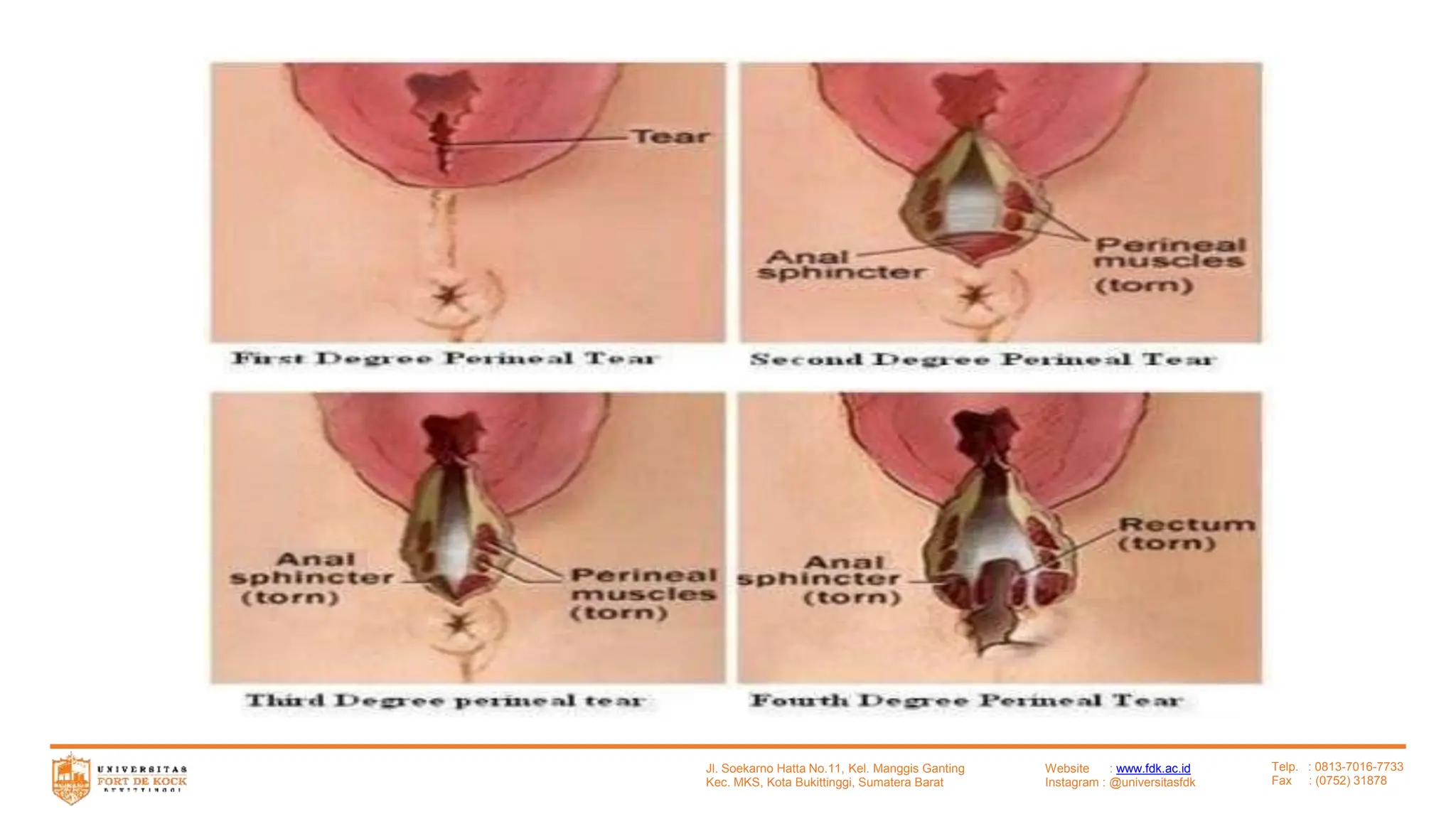 Katta vagina va qattiq zavq