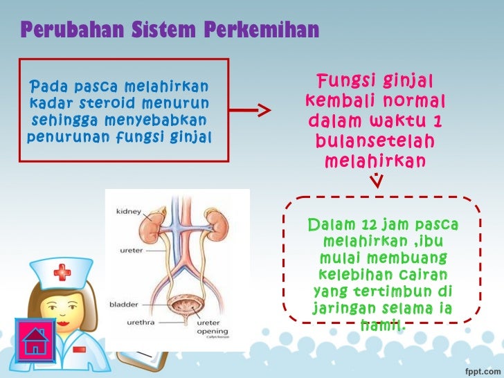 perubahan fisiologi masa nifas perubahan fisiologi masa nifas