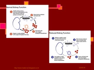 03/05/16http://www.materi-x2.blogspot.co.id
 