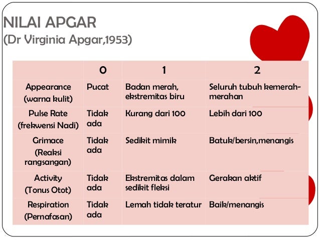 bayi baru lahir normal pdf bayi baru lahir normal pdf