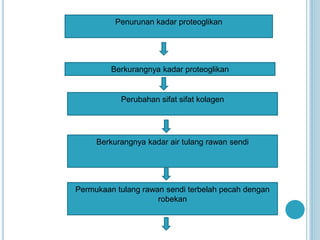Penurunan kadar proteoglikan
Berkurangnya kadar proteoglikan
Perubahan sifat sifat kolagen
Berkurangnya kadar air tulang rawan sendi
Permukaan tulang rawan sendi terbelah pecah dengan
robekan
 