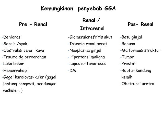 Download 99 Koleksi Gambar Ginjal Pdf Paling Bagus HD