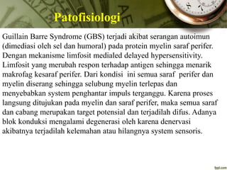 Patofisiologi
Guillain Barre Syndrome (GBS) terjadi akibat serangan autoimun
(dimediasi oleh sel dan humoral) pada protein myelin saraf perifer.
Dengan mekanisme limfosit medialed delayed hypersensitivity.
Limfosit yang merubah respon terhadap antigen sehingga menarik
makrofag kesaraf perifer. Dari kondisi ini semua saraf perifer dan
myelin diserang sehingga selubung myelin terlepas dan
menyebabkan system penghantar impuls terganggu. Karena proses
langsung ditujukan pada myelin dan saraf perifer, maka semua saraf
dan cabang merupakan target potensial dan terjadilah difus. Adanya
blok konduksi mengalami degenerasi oleh karena denervasi
akibatnya terjadilah kelemahan atau hilangnya system sensoris.
 