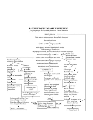 PATOFISIOLOGI PENYAKIT HIRSCHPRUNG
(Penyimpangan Terhadap Kebutuhan Dasar Manusia)
PATOFISIOLOGI POST OP RESEKSI MEGACOLON
HIRSCHPRUNG
Tidak adanya neuran meissner dan aurbach di segmen
Rectosgmoid colon
Serabut saraf dan otot polos menebal
Tidak adanya peristaltic serta spingter rectum
Tidak mempunyai daya dorong
Daya propulsit tak ada, proses evakuasi feces dan udara terganggu
Passase usus terganggu ⇒ TRIAS
Muntah hijau
Distensi Atdomen
Keterlambatan evakuasi
Meconium feces
Obstruksi dan dilatasi bagian proksimal
Refleks inhibisi Rektospingter terganggu
Spinkter ani interna tidak relaksasi
Feces lama dalam colon Rektrum
Penekanan pada usus,
Lambung elntra abdomen
Distensi
Abdomen
Kontraksi Anuler
pylorus
KONSTIDASIEkspalasi isi
Lambung ke
escfagus
Gerakan isi lambung ke
mulut
Mual/muntah
Intake kurang
Pemenuhan nutrisi
kurang dari
kebutuhan
Kontraksi
Otot-otot dinding
Abdomen ke-
Diafragma
Nyeri
Relaksasi otot-otot
Diafragma terganggu
Clystre pernafasan
Ekspansi paru
Pola nafas tidak
efektif
Risiko Tinggi kekurangan
Volume cairan tubuh
Colon menjadi melebar/Feces
tertahan bagian proksimal
Dilakukan tindakan Colostomy
untuk mengeluarkan feces
Risiko Tinggi Infeksi
Risiko tinggi Gangguan
Inkgntas kulit = disekitar
colostomy dan anus
Peregangan secara kronik
saat defekasi
Peregangan sarafkronik
pupendus secara maksimal
Spinkter Ani inkompten/
inkontineusia fekal
Pelepasan isi rectum
Tanpa tanpa disadari
Pengeluaran feces terus
Menerus tanpa disadari
Diar
Tekanan intra lamen
usus
Aliran usus
Kontraksi usus
Statis Bakteri dalam
Membran mokosa
Proliferasi bakteri
Dalam jumlah banyak
ENTEROKOLITIS
Pe flora usus
Rekasi inflamasi
Peningkatan sekresi
Cairan dan elektrolit ke
rongga usus, disertai
absorbsi
Terbentuk feces yang encer
Klien rawat inap
Dalam waktu lain
Timbul rekasi Hospitalisasi
Cemas /takut
HIRSCHPRUNG
 