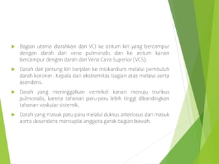  Bagian utama diarahkan dari VCI ke atrium kiri yang bercampur
dengan darah dari vena pulmonalis dan ke atrium kanan
bercampur dengan darah dari Vena Cava Superior (VCS).
 Darah dari jantung kiri berjalan ke miokardium melalui pembuluh
darah koroner. Kepala dan ekstremitas bagian atas melalui aorta
asendens.
 Darah yang meninggalkan ventrikel kanan menuju trunkus
pulmonalis, karena tahanan paru-paru lebih tinggi dibandingkan
tahanan vaskular sistemik.
 Darah yang masuk paru-paru melalui duktus arteriosus dan masuk
aorta desendens mensuplai anggota gerak bagian bawah.
 