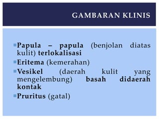 Papula – papula (benjolan diatas
kulit) terlokalisasi
Eritema (kemerahan)
Vesikel (daerah kulit yang
mengelembung) basah didaerah
kontak
Pruritus (gatal)
GAMBARAN KLINIS
 