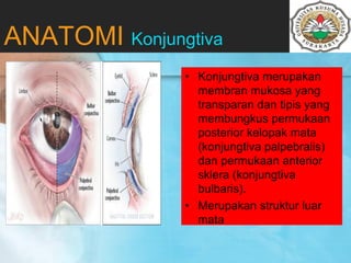 ANATOMI Konjungtiva
• Konjungtiva merupakan
membran mukosa yang
transparan dan tipis yang
membungkus permukaan
posterior kelopak mata
(konjungtiva palpebralis)
dan permukaan anterior
sklera (konjungtiva
bulbaris).
• Merupakan struktur luar
mata
Evaluasi
 
