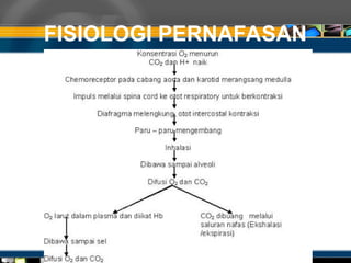 FISIOLOGI PERNAFASAN
 