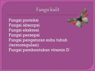 






Fungsi proteksi
Fungsi absorpsi
Fungsi ekskresi
Fungsi persepsi
Fungsi pengaturan suhu tubuh
(termoregulasi)
Fungsi pembentukan vitamin D

 