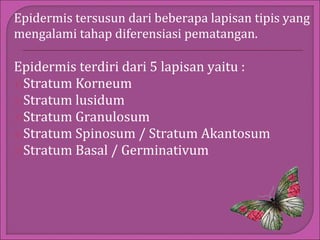 Epidermis tersusun dari beberapa lapisan tipis yang
mengalami tahap diferensiasi pematangan.

Epidermis terdiri dari 5 lapisan yaitu :
1)Stratum Korneum
2)Stratum lusidum
3)Stratum Granulosum
4)Stratum Spinosum / Stratum Akantosum
5)Stratum Basal / Germinativum

 