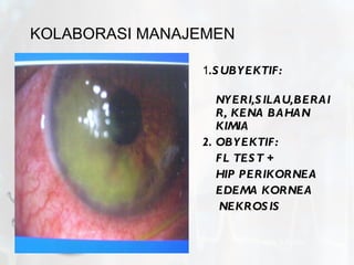 KOLABORASI MANAJEMEN 1 .SUBYEKTIF: NYERI,SILAU,BERAIR, KENA BAHAN KIMIA 2. OBYEKTIF: FL TEST + HIP PERIKORNEA EDEMA KORNEA NEKROSIS by.  N. Syamsi,  S.Kep.Ns 