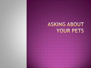 Asking about your pets 