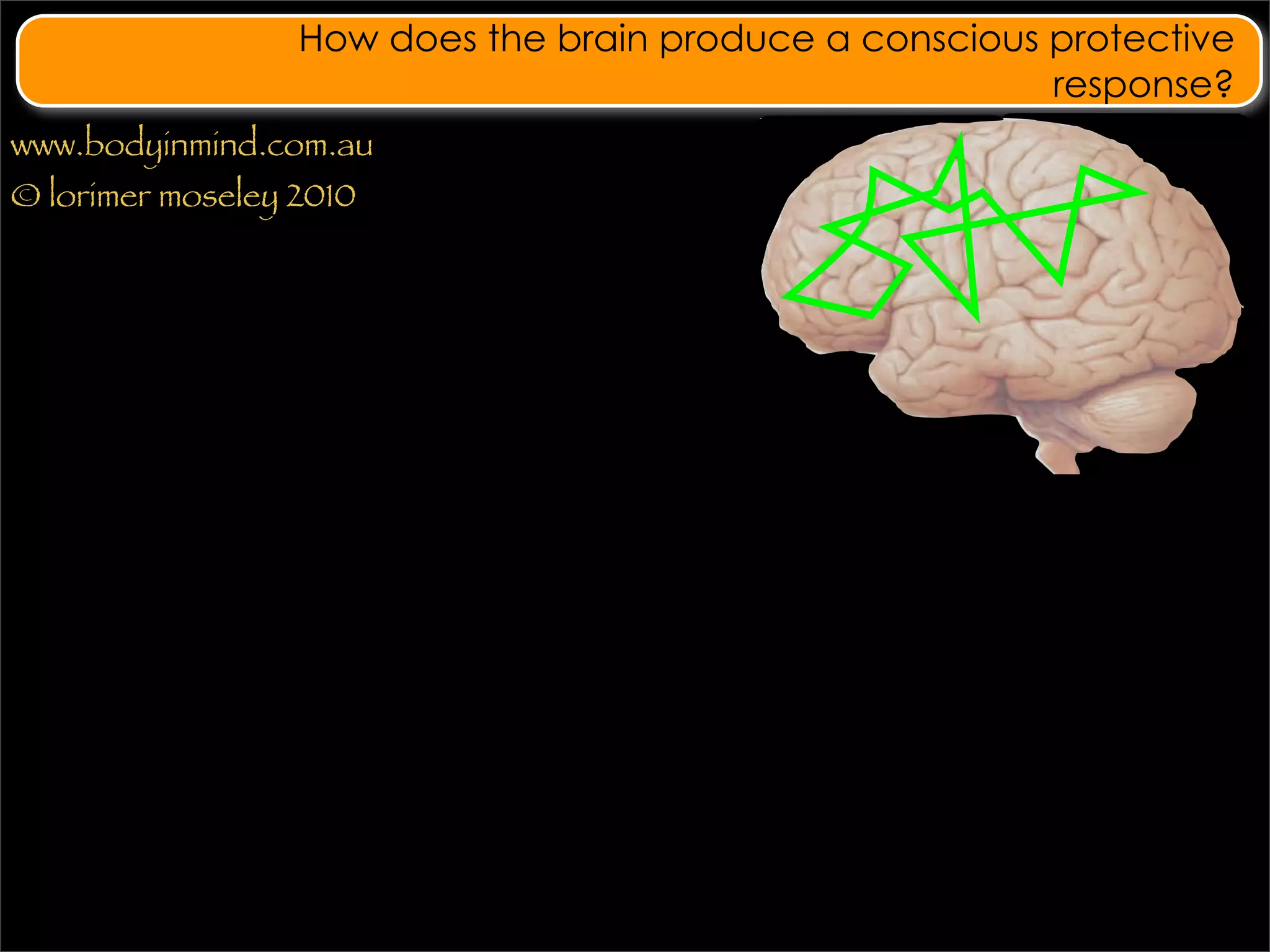 How does the brain produce a conscious protective
                                                         response?
www.bodyinmind.com.au
© lorimer moseley 2010
 