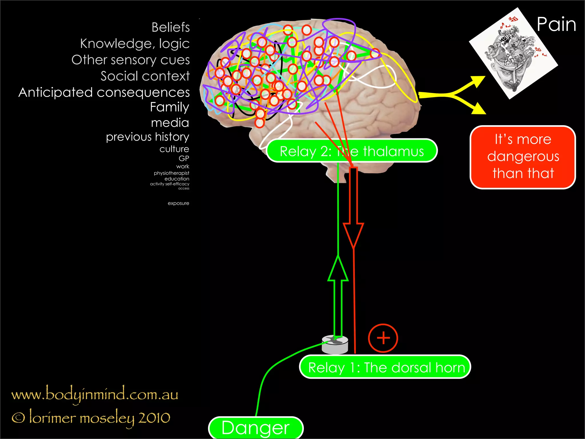 Beliefs                                                              Pain
         Knowledge, logic
        Other sensory cues
            Social context
Anticipated consequences
                    Family
                     media
             previous history                                                       It’s more
                          culture
                                    GP
                                                   Relay 2: The thalamus          dangerous
                                   work
                       physiotherapist
                           education                                               than that
                     activity self-efficacy
                                    access



                              exposure




                                                                 +
                                                       Relay 1: The dorsal horn
www.bodyinmind.com.au
© lorimer moseley 2010
                                              Danger
 