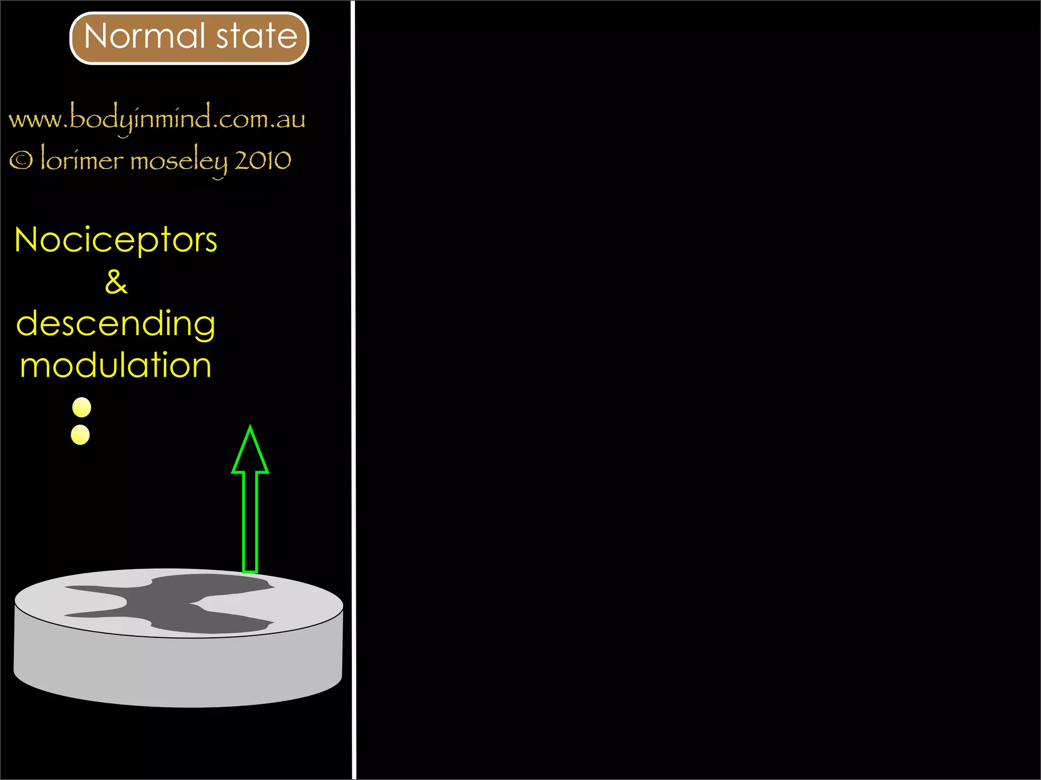 Normal state

www.bodyinmind.com.au
© lorimer moseley 2010


Nociceptors
     &
descending
modulation
 