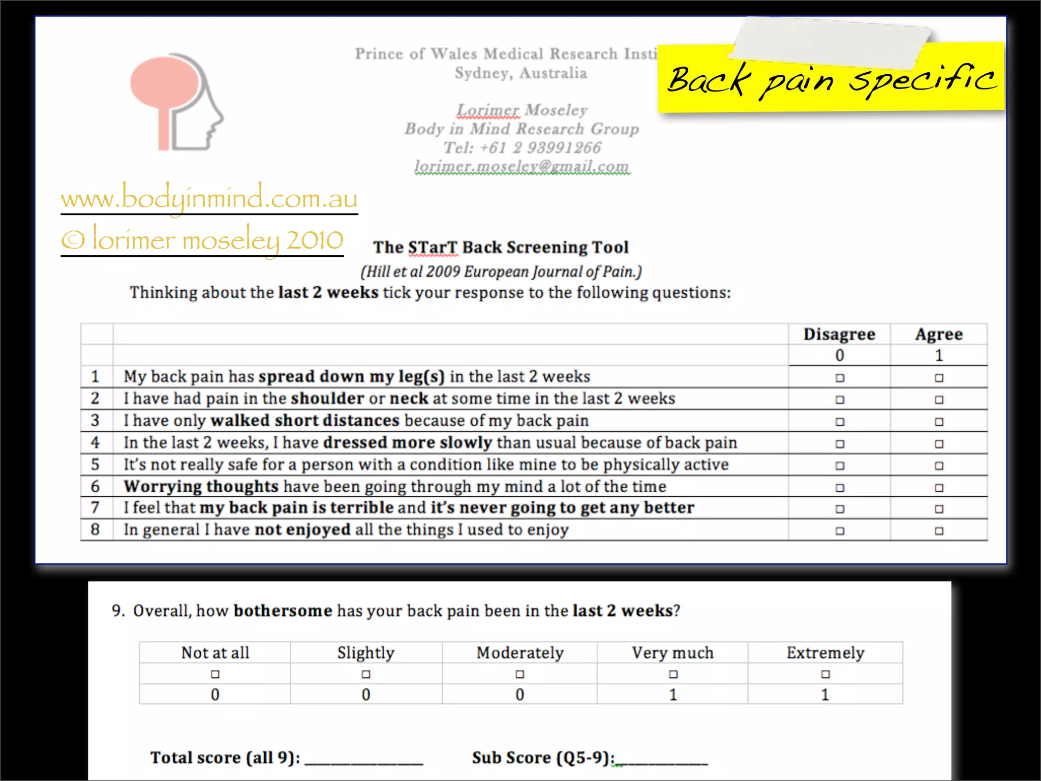 Back pain specific


www.bodyinmind.com.au
© lorimer moseley 2010
 