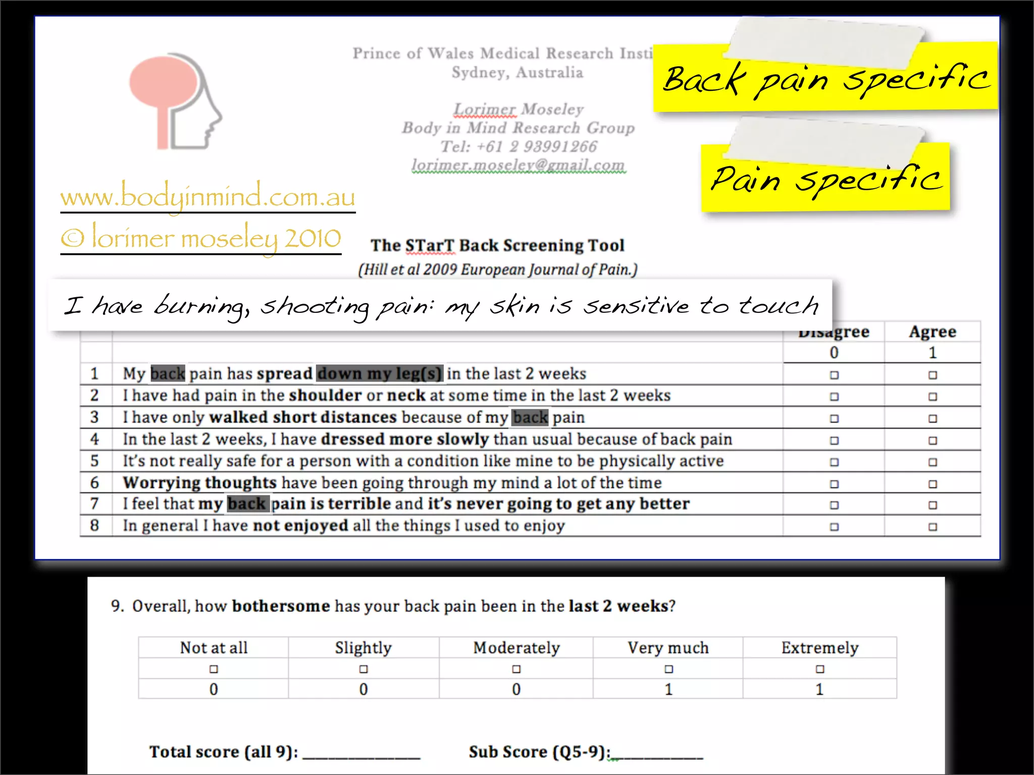 Back pain specific


www.bodyinmind.com.au
                                                   Pain specific
© lorimer moseley 2010

I have burning, shooting pain: my skin is sensitive to touch
 