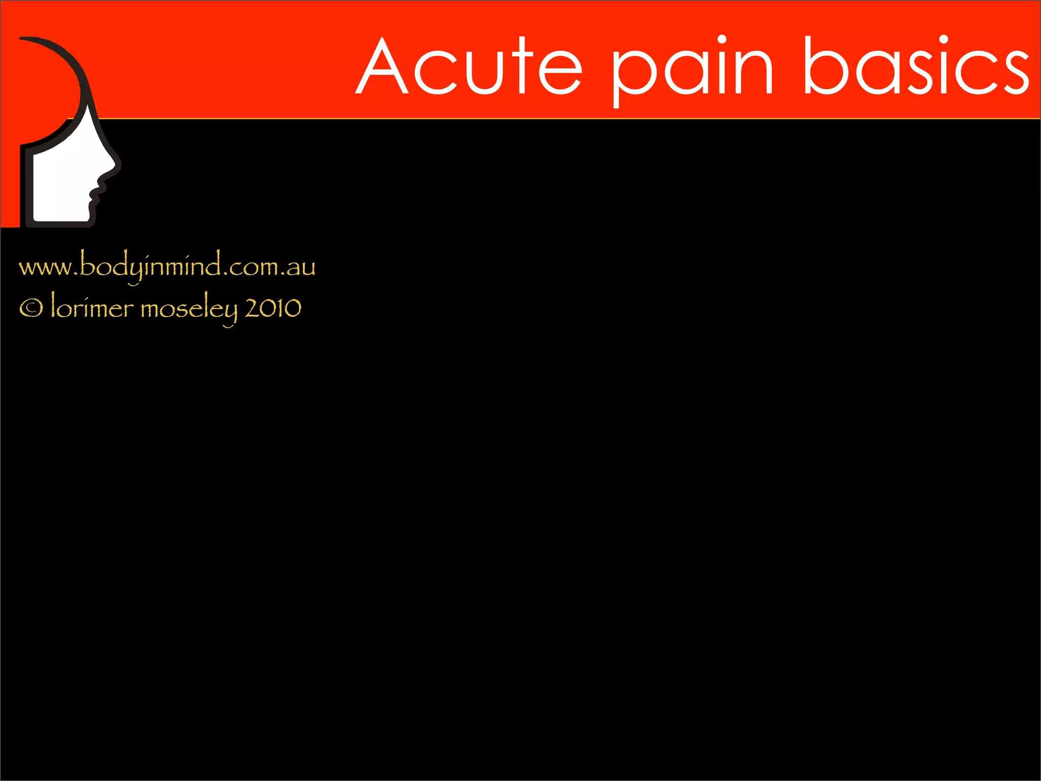 Acute pain basics

www.bodyinmind.com.au
© lorimer moseley 2010
 