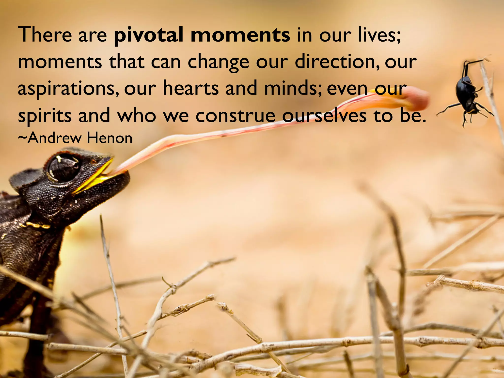 There are pivotal moments in our lives;
moments that can change our direction, our
aspirations, our hearts and minds; even our
spirits and who we construe ourselves to be.
~Andrew Henon
 
