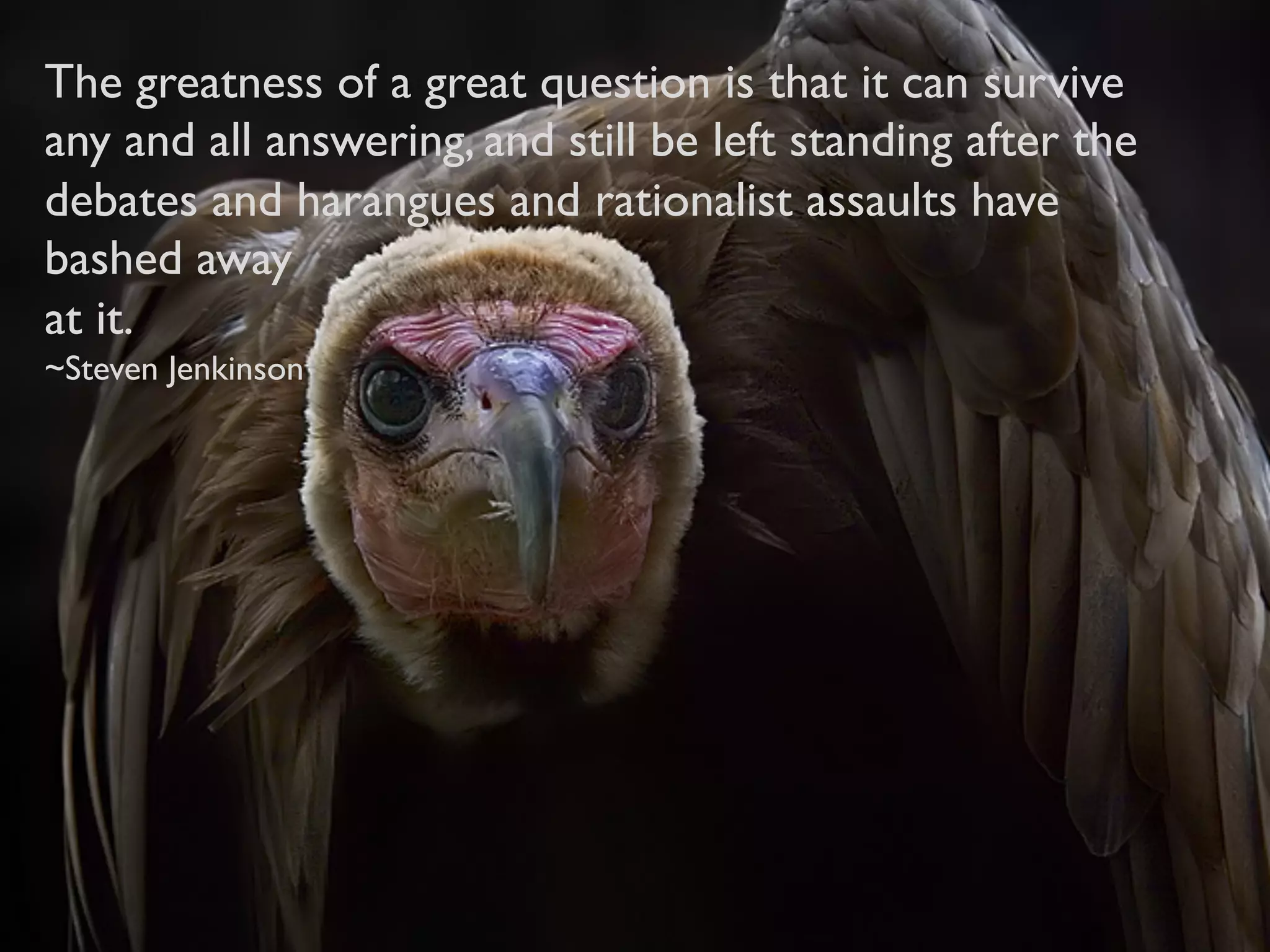 The greatness of a great question is that it can survive
any and all answering, and still be left standing after the
debates and harangues and rationalist assaults have
bashed away
at it.
~Steven Jenkinson
 