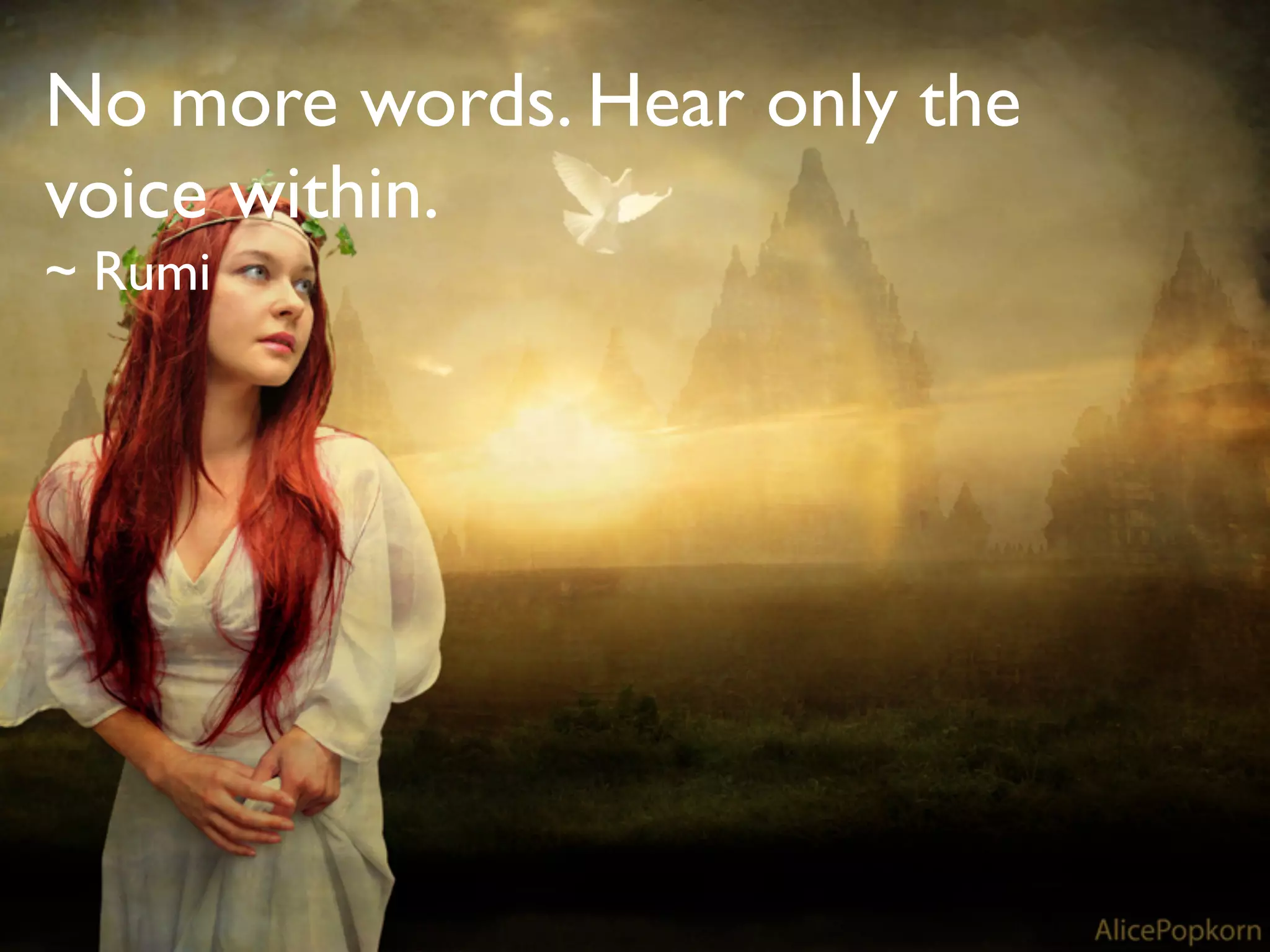 No more words. Hear only the
voice within.
~ Rumi
 
