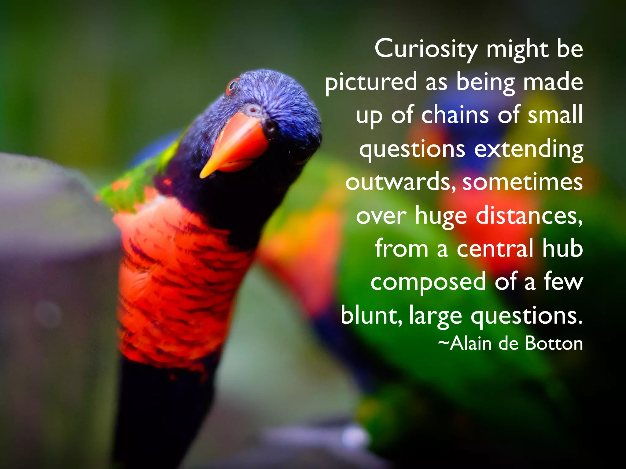 Curiosity might be
pictured as being made
up of chains of small
questions extending
outwards, sometimes
over huge distances,
from a central hub
composed of a few
blunt, large questions.
~Alain de Botton
 
