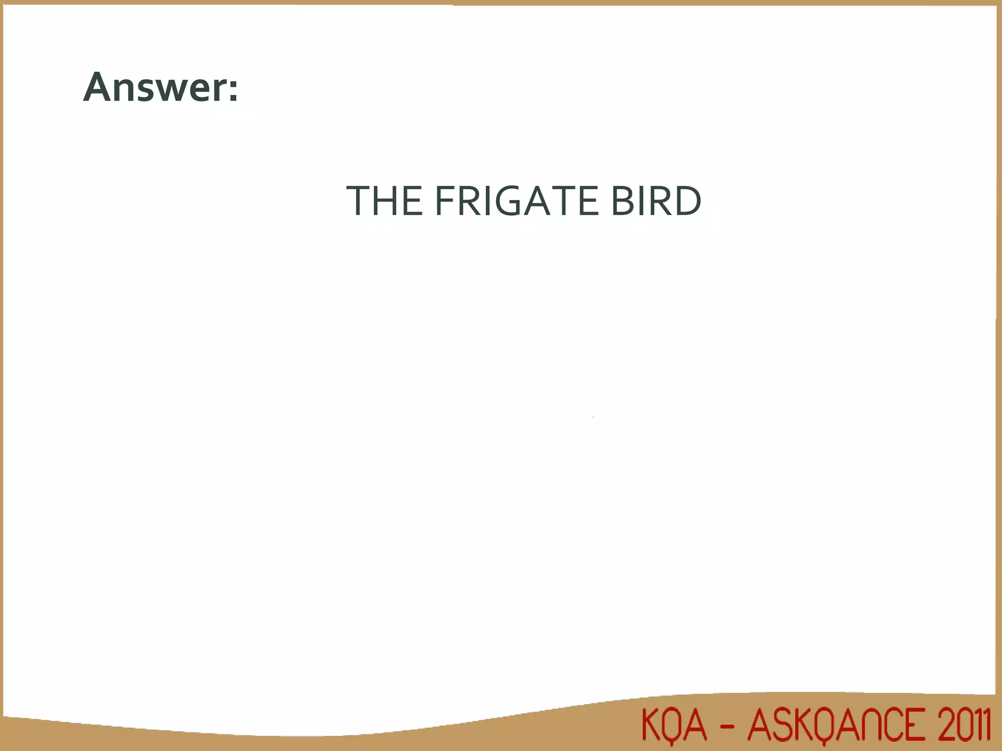 Answer: THE FRIGATE BIRD 