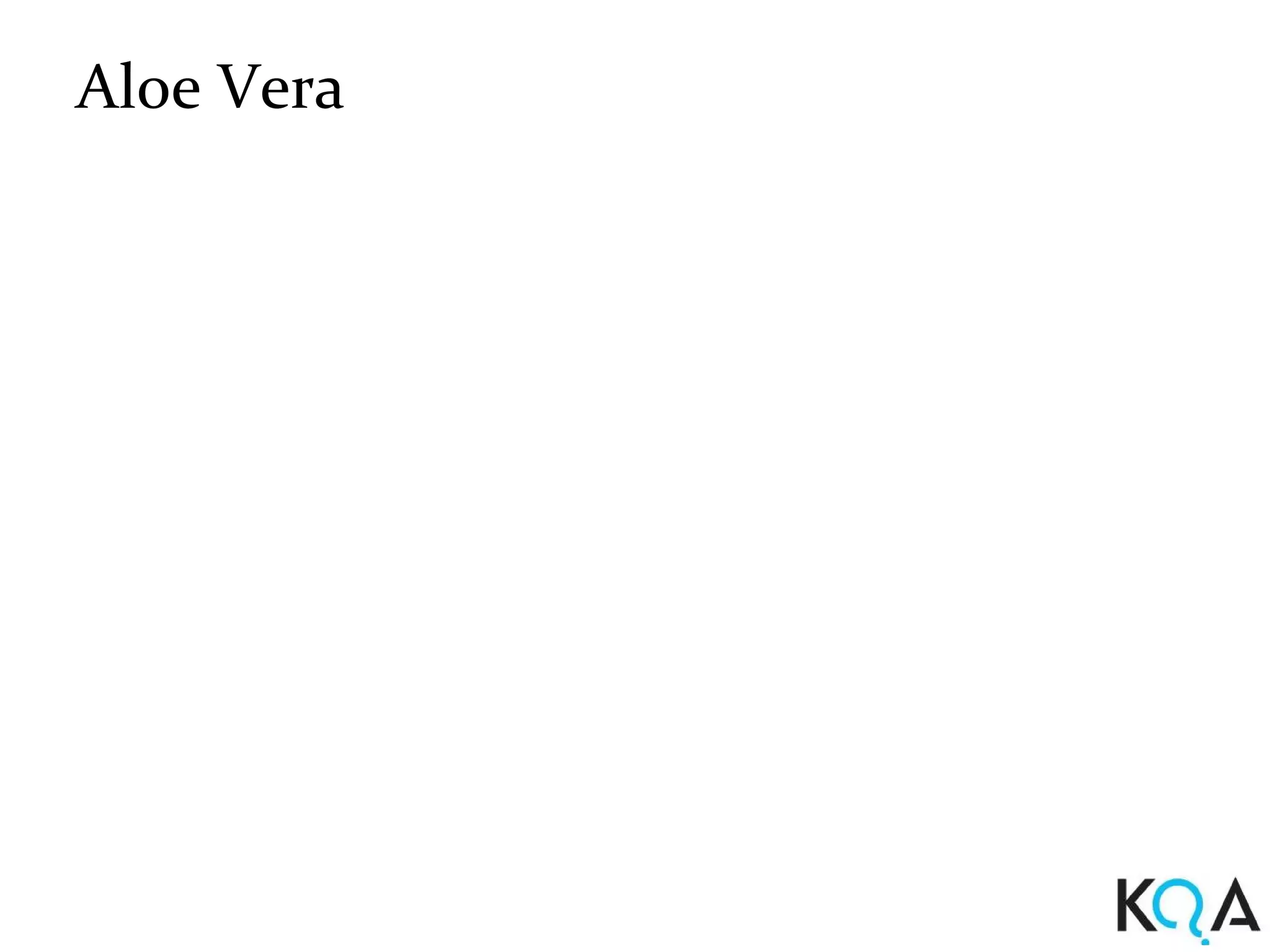 Aloe Vera
 